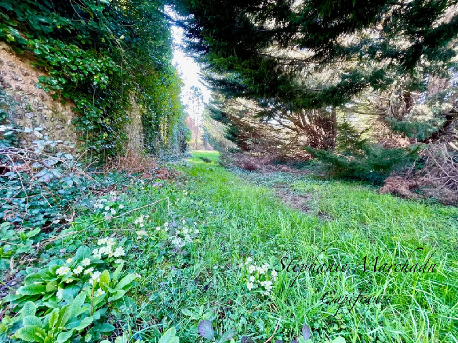  en venta casa Chartres Eure-et-Loir 7
