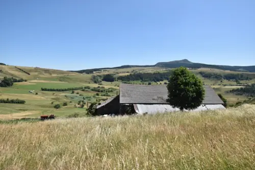  à vendre maison Chaudeyrolles Haute-Loire 2