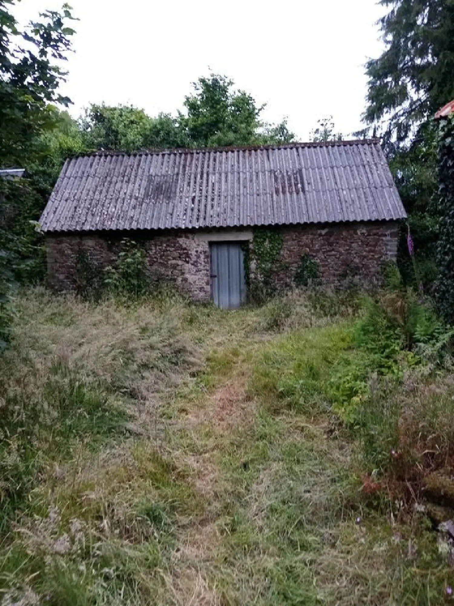  te koop huis Collorec Finistère 6