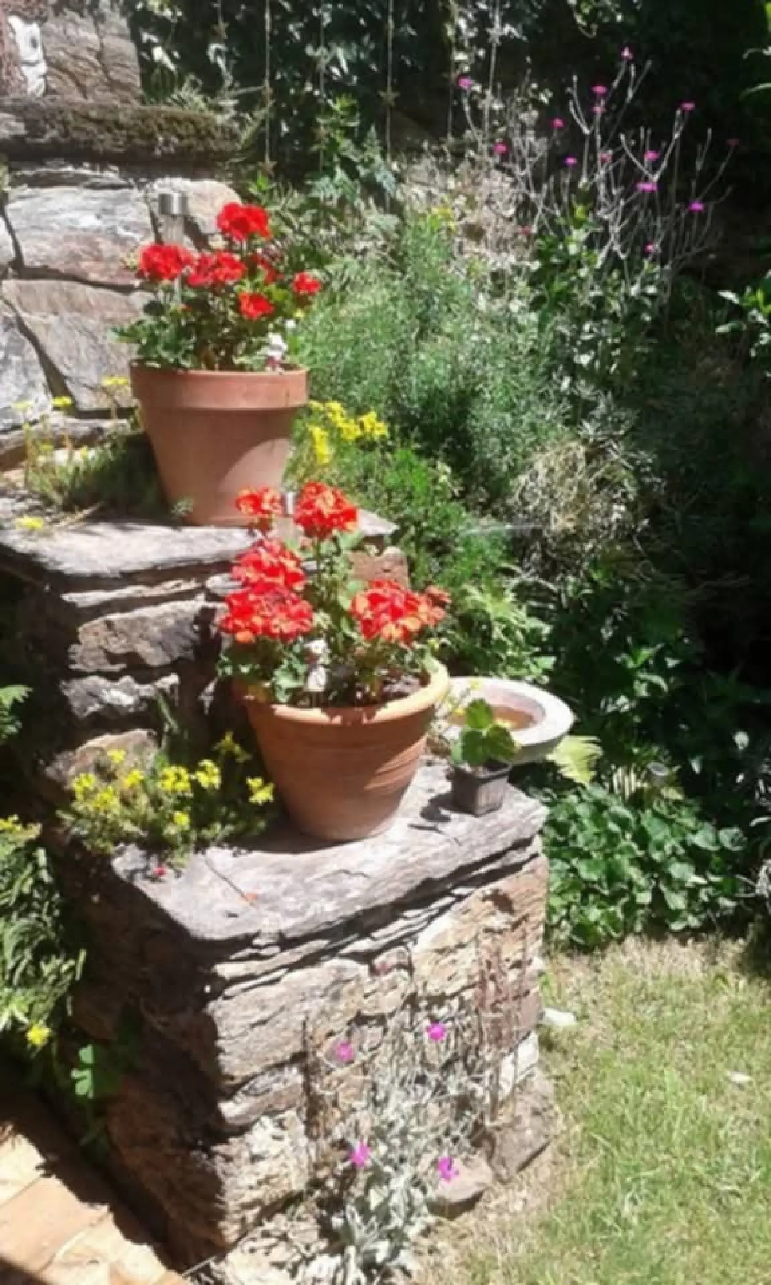  for sale house Conques Aveyron 5