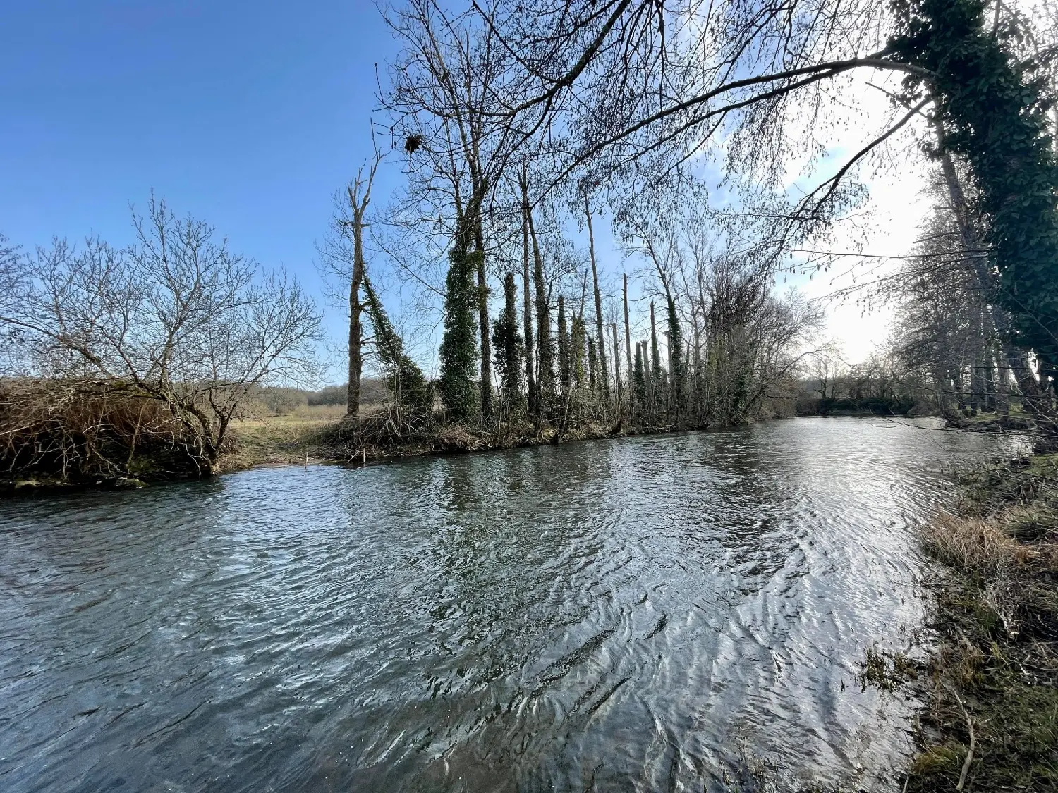 à vendre maison Coulaures Dordogne 2