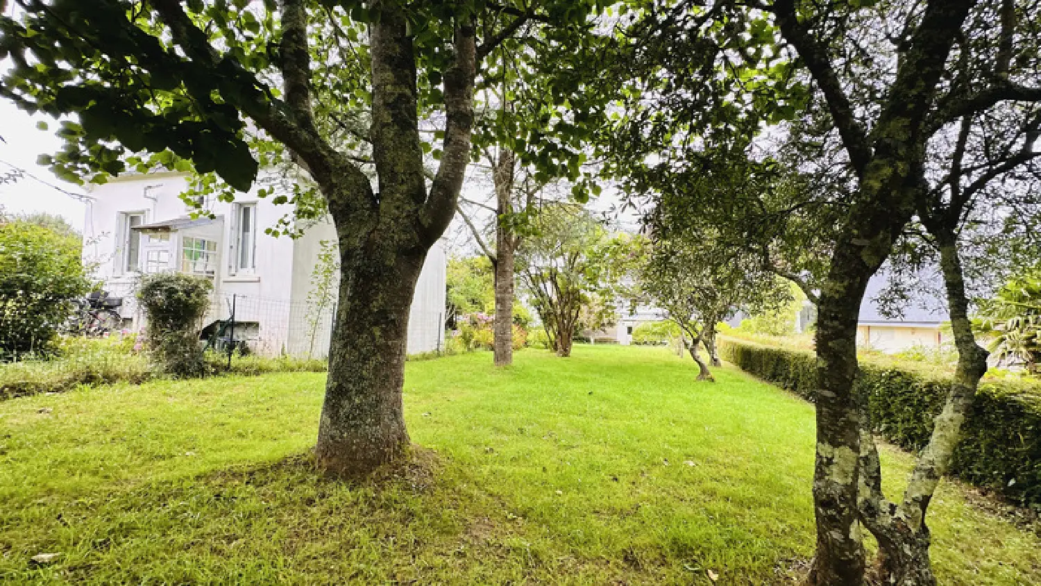  kaufen Haus Crozon Finistère 5