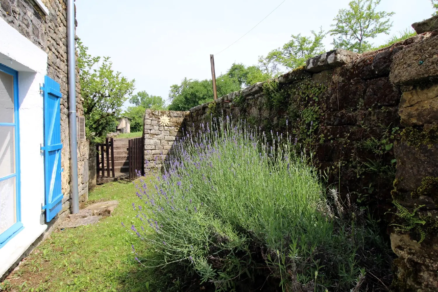  for sale house Damrémont Haute-Marne 7