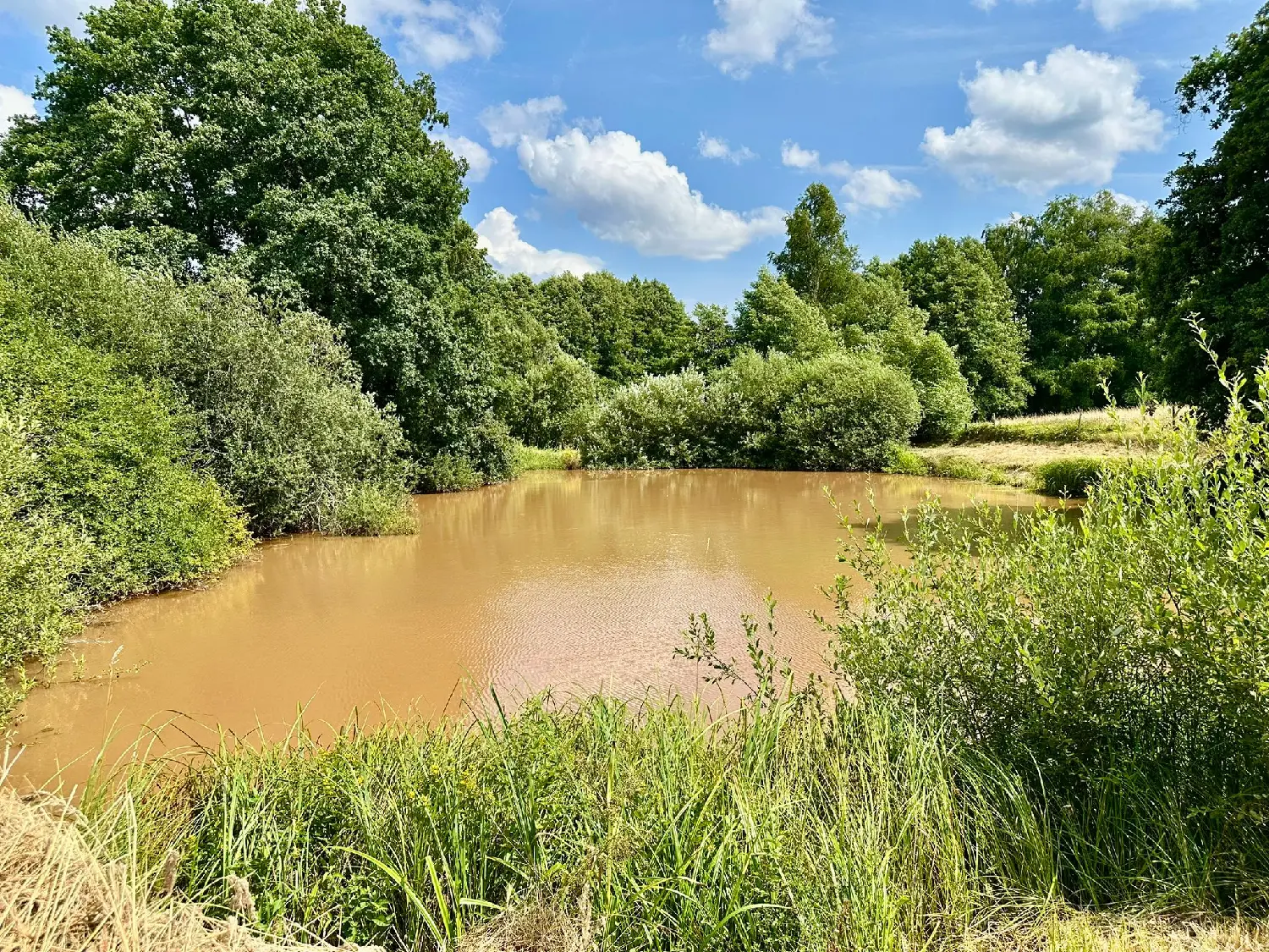  kaufen Haus Errevet Haute-Saône 4