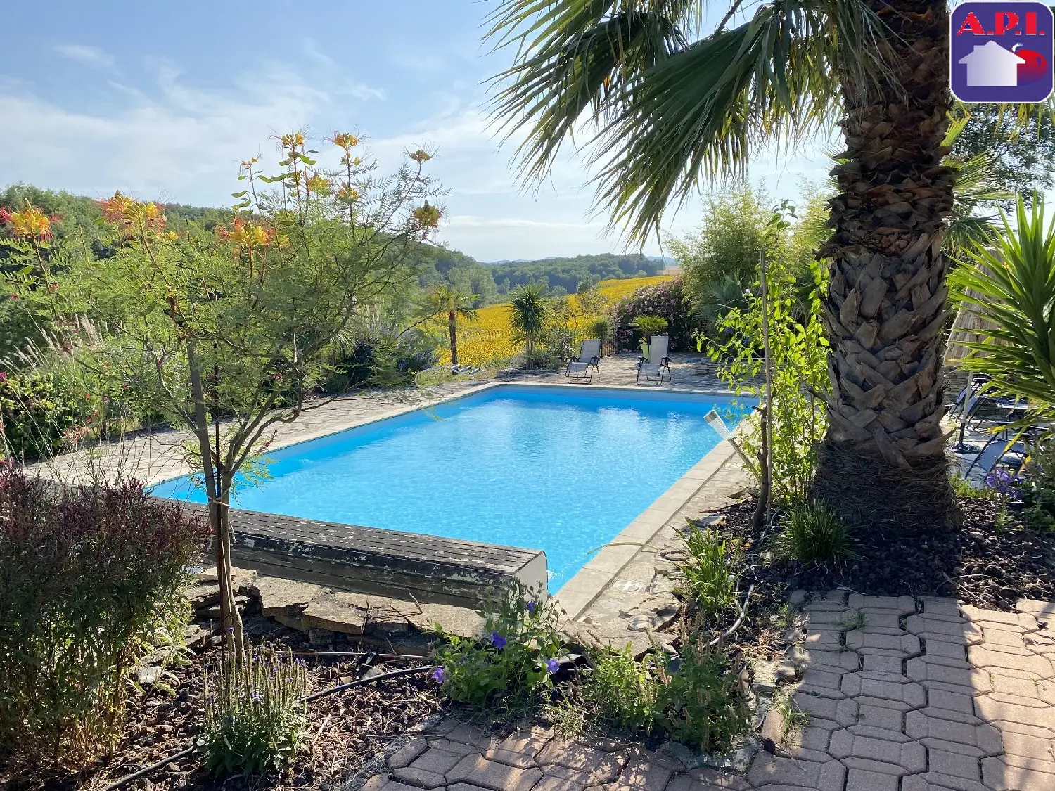  for sale house Fanjeaux Aude 2