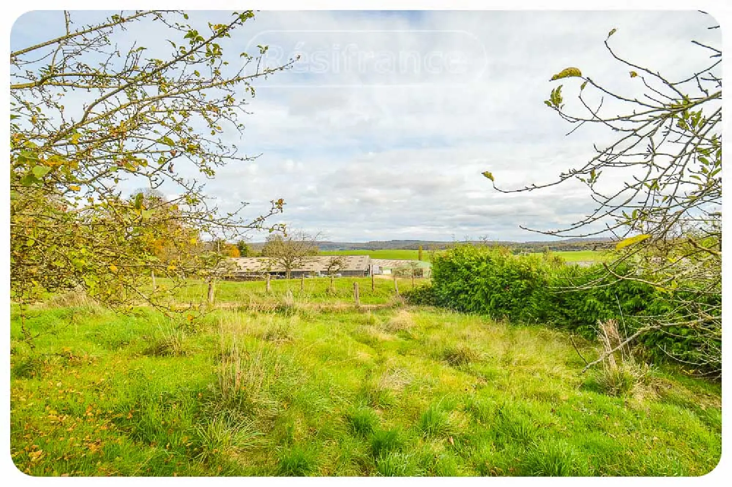  à vendre maison Fayl-Billot Haute-Marne 8