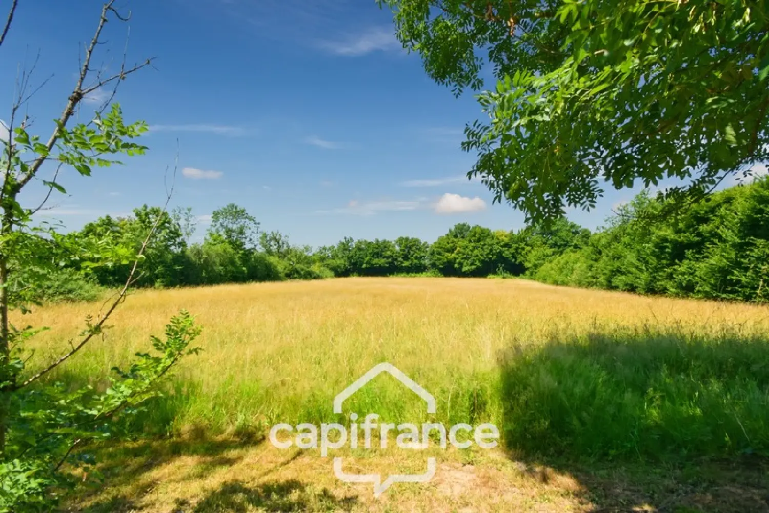  for sale house Frontenaud Saône-et-Loire 5