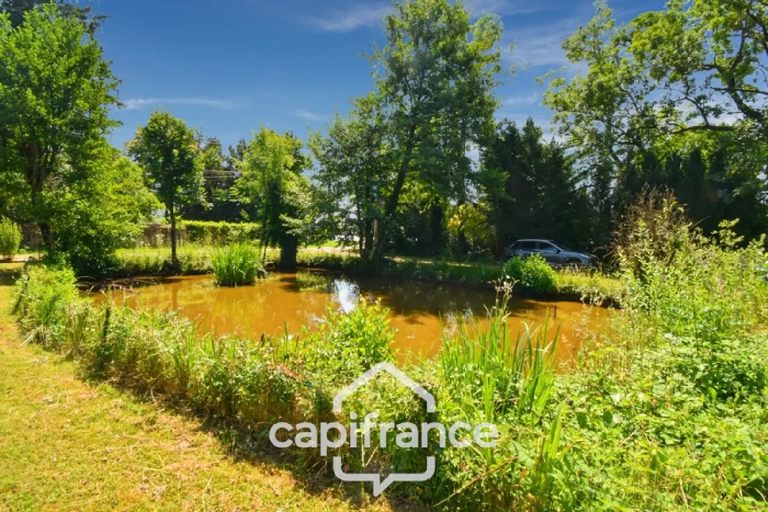  for sale house Frontenaud Saône-et-Loire 7