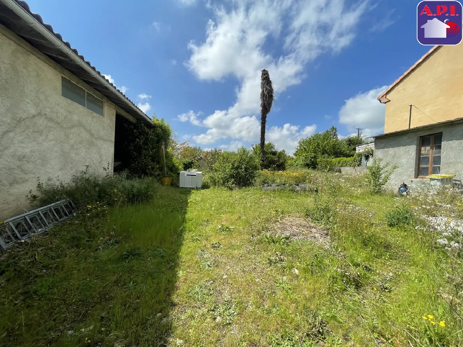  à vendre maison Gaillac-Toulza Haute-Garonne 8