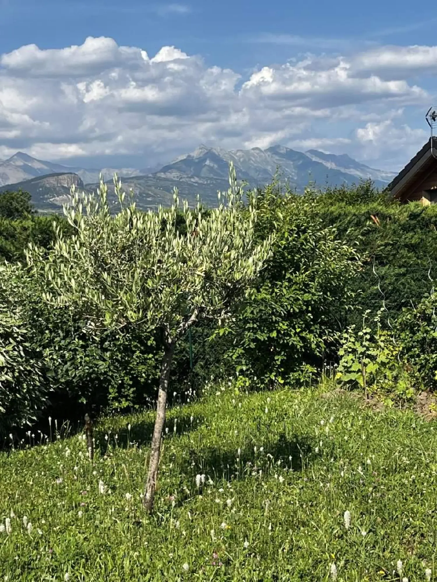  en venta casa Gap Hautes-Alpes 6