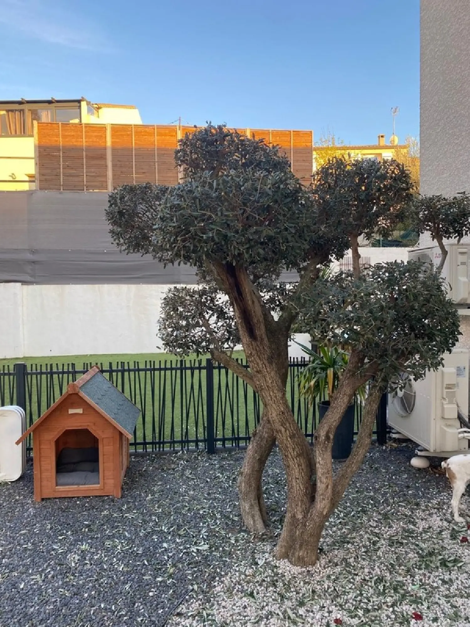  kaufen Haus Gigean Hérault 8