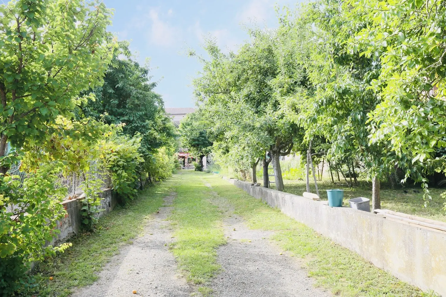  te koop huis Grisolles Tarn-et-Garonne 6