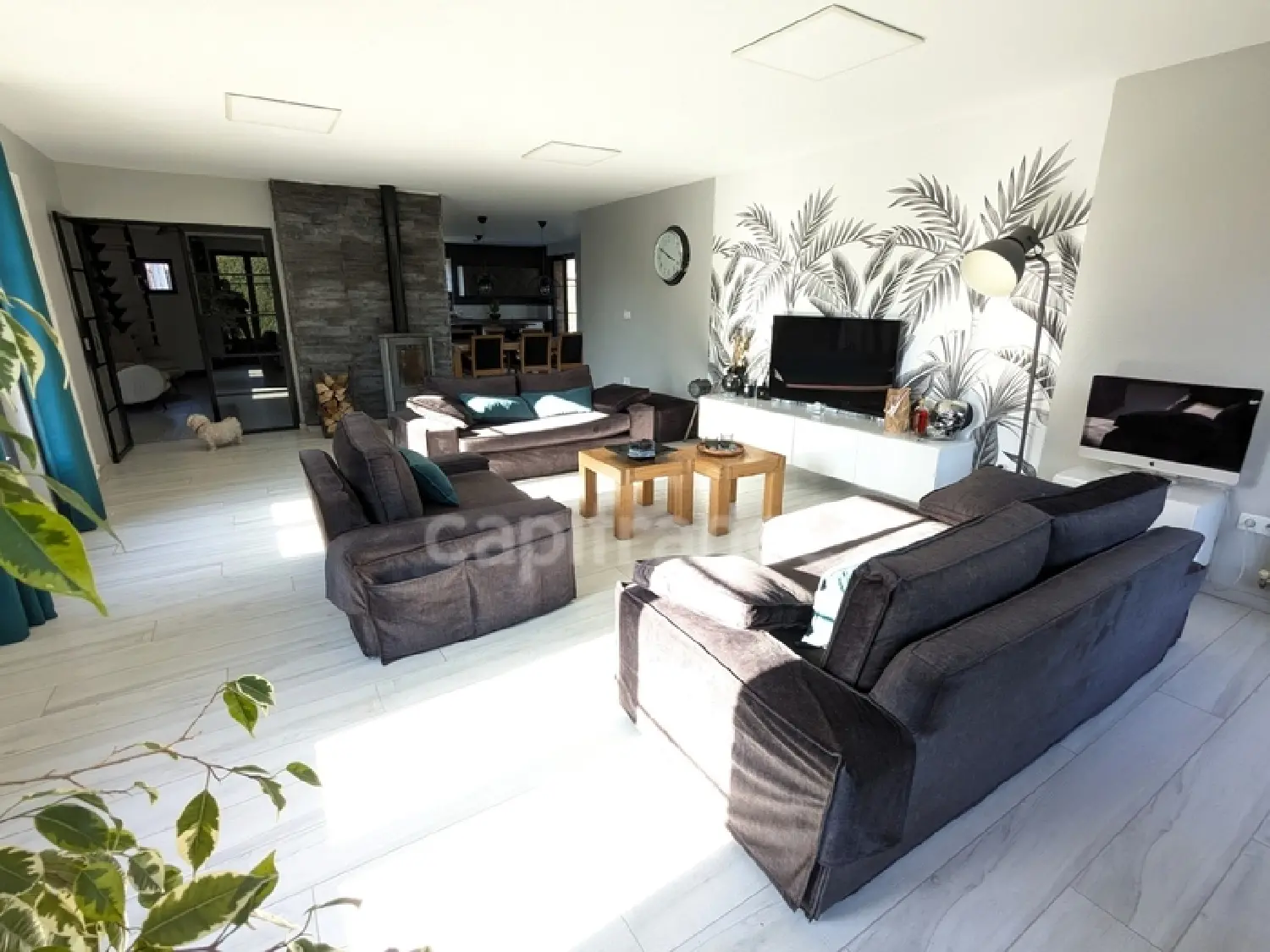  te koop huis Halluin Nord 4