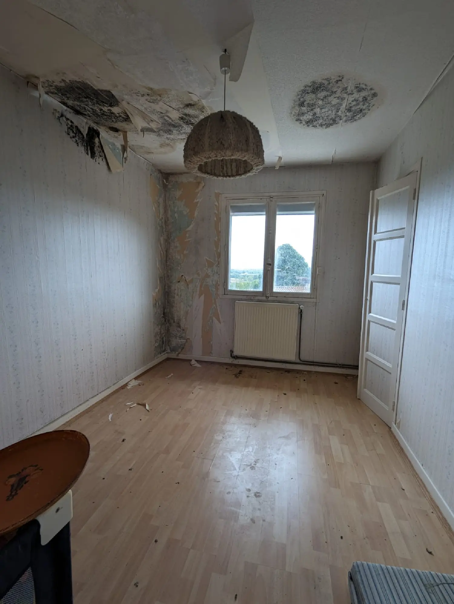  te koop huis La Buisse Isère 7