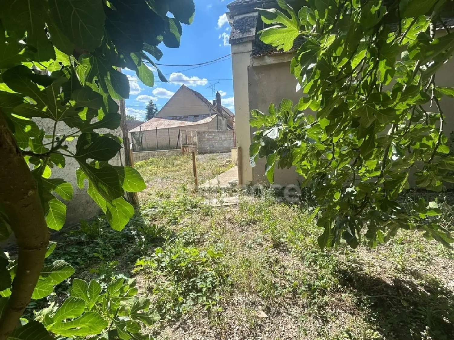  for sale house La Celle-Saint-Cyr Yonne 4