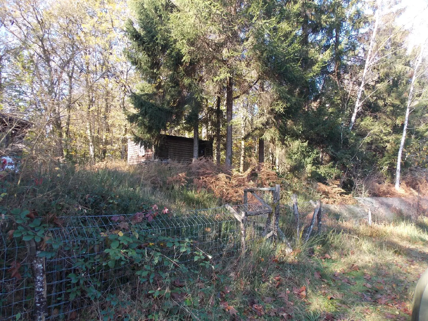  te koop huis La Chapelle-Montbrandeix Haute-Vienne 8
