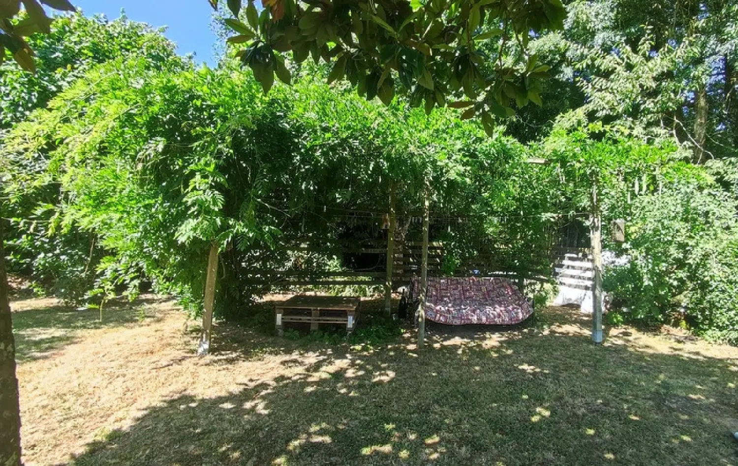  te koop huis La Forêt-sur-Sèvre Deux-Sèvres 3