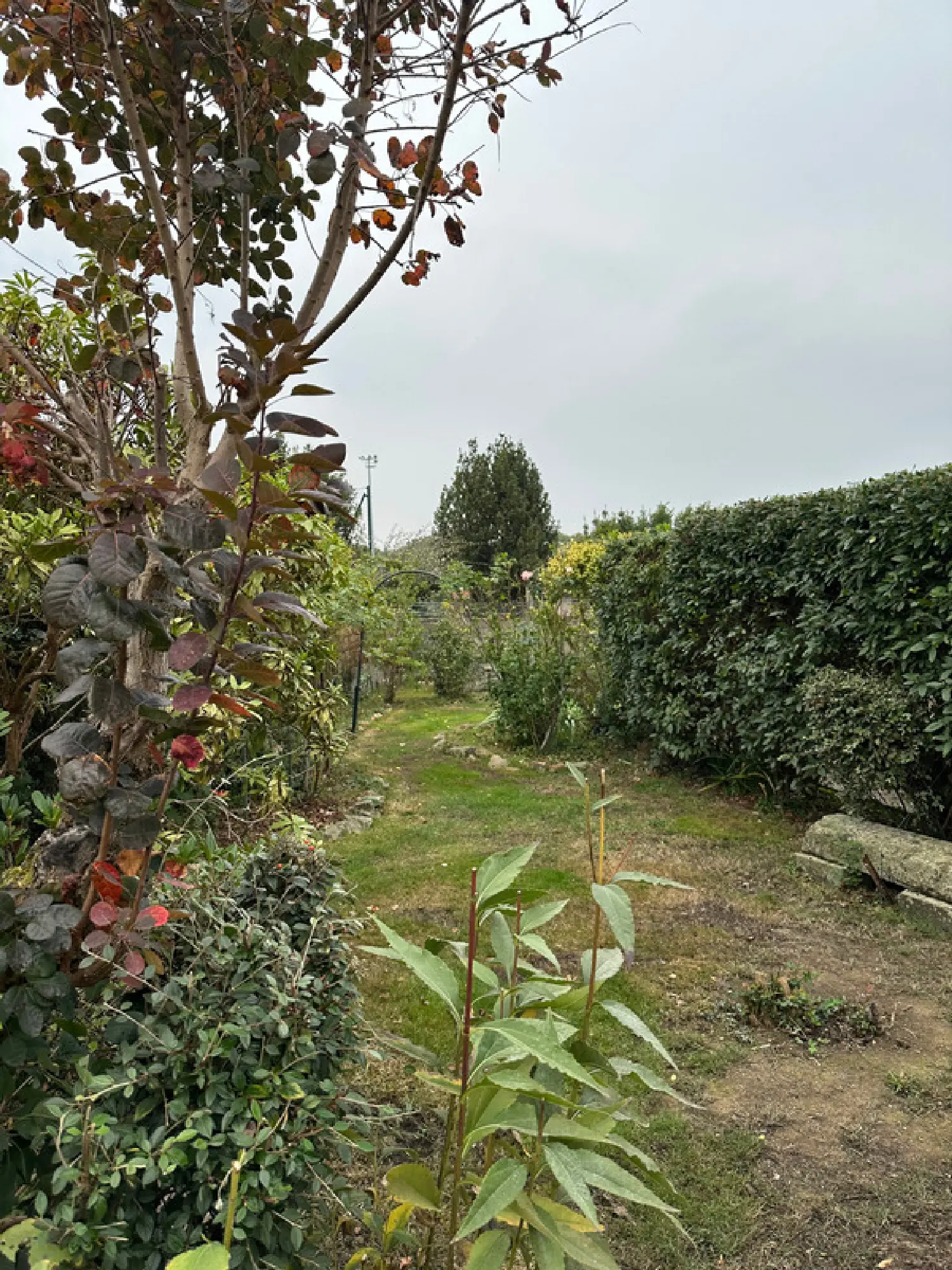  te koop huis La Roche-sur-Yon Vendée 7