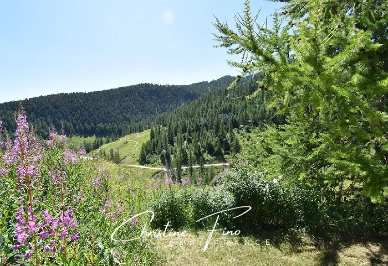  à vendre maison La Salle-les-Alpes Hautes-Alpes 5