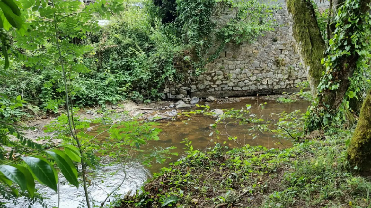  kaufen Haus Laguenne Corrèze 4
