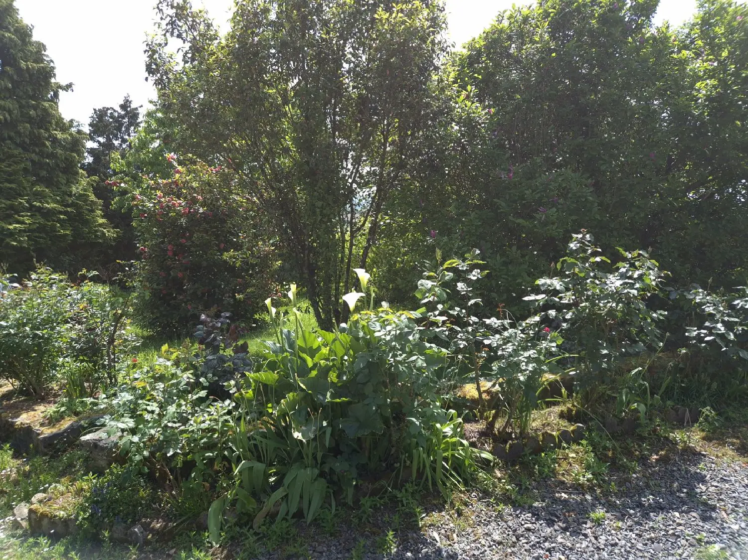  à vendre maison Landelles-et-Coupigny Calvados 4