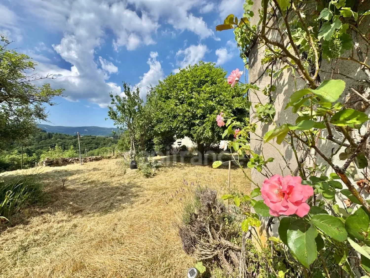  for sale house Laprugne Allier 4