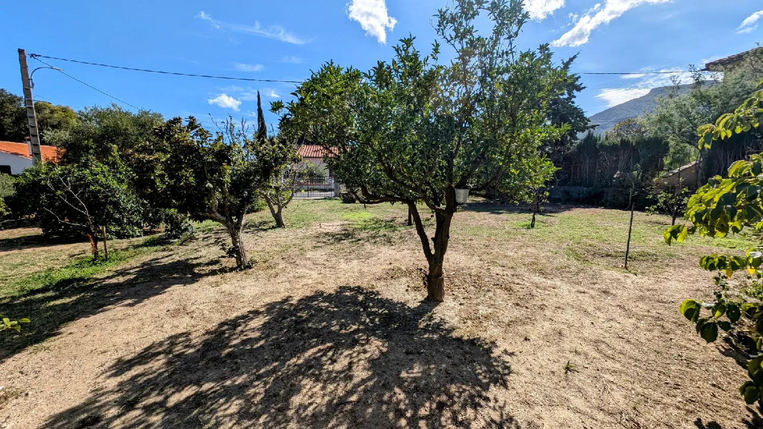  kaufen Haus Laroque-des-Albères Pyrénées-Orientales 4