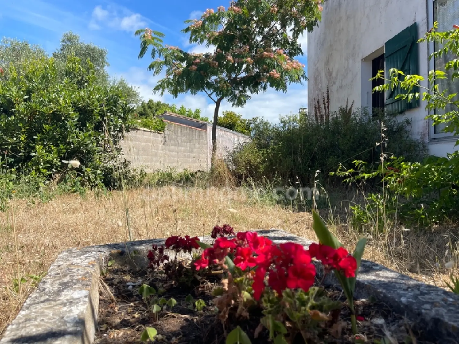  te koop huis Le Bois-Plage-en-Ré Charente-Maritime 4