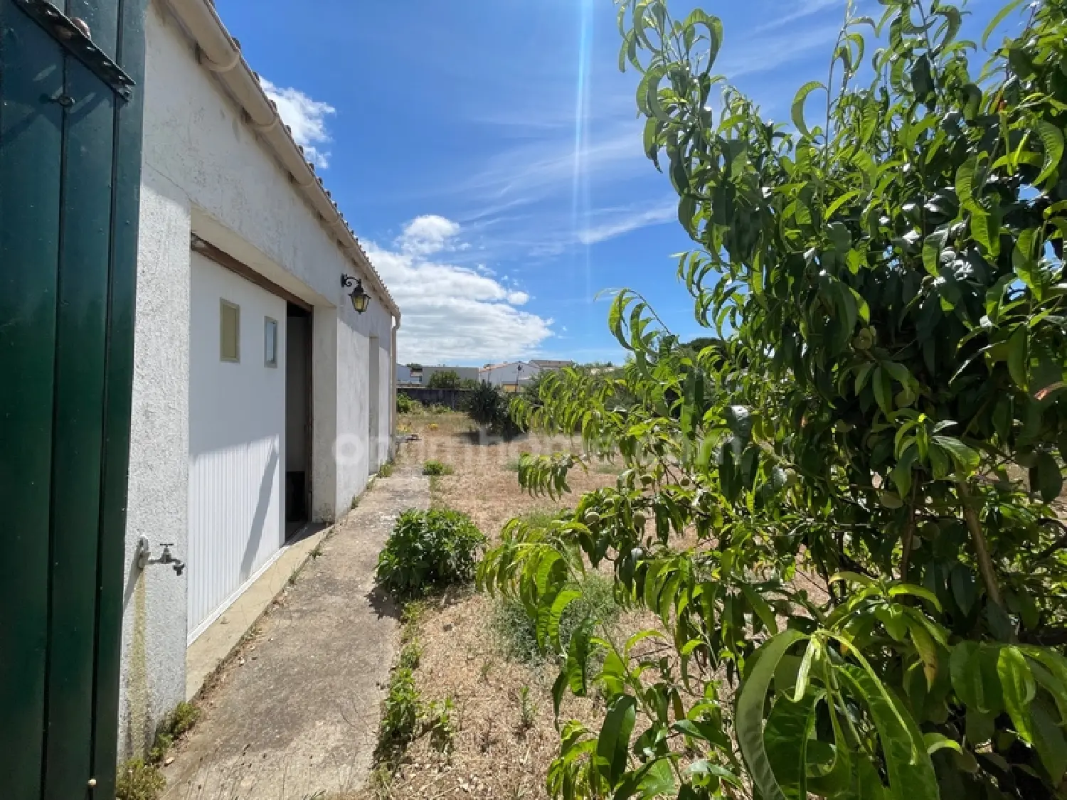  te koop huis Le Bois-Plage-en-Ré Charente-Maritime 6