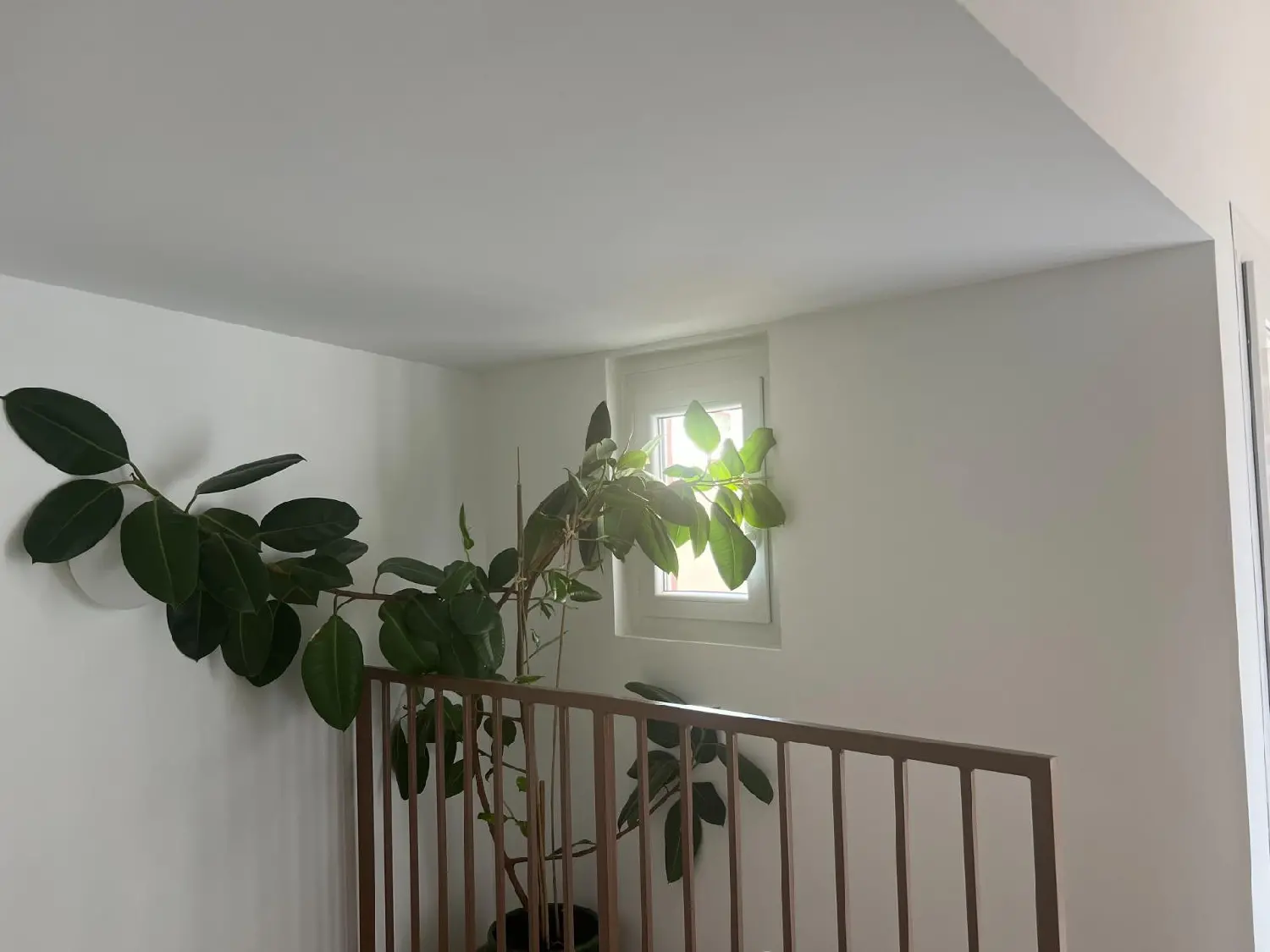  en venta casa Le Boulou Pirineo Oriental 5