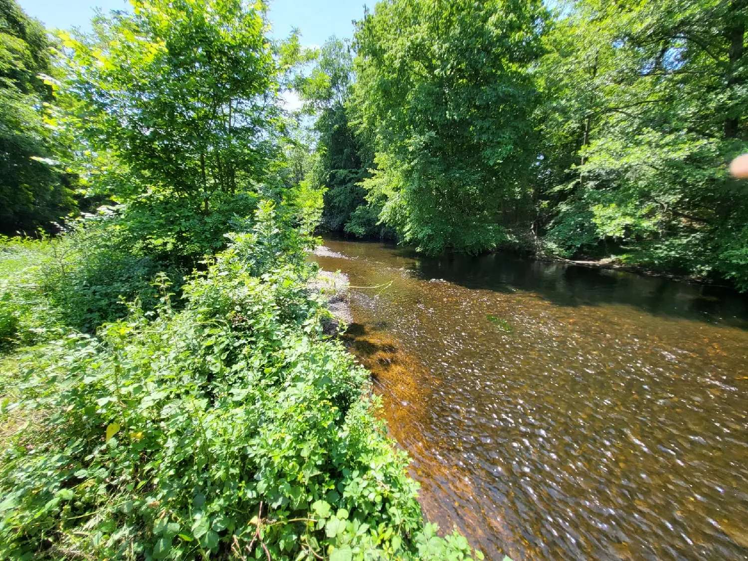  kaufen Haus Le Pêchereau Indre 4
