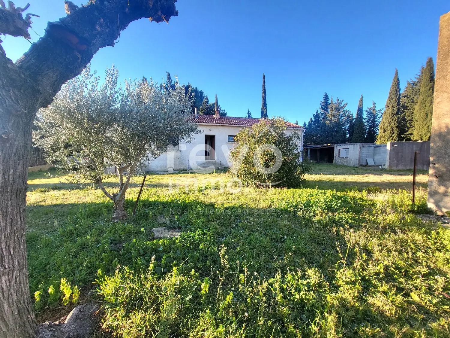  te koop huis Le Pouget Hérault 2