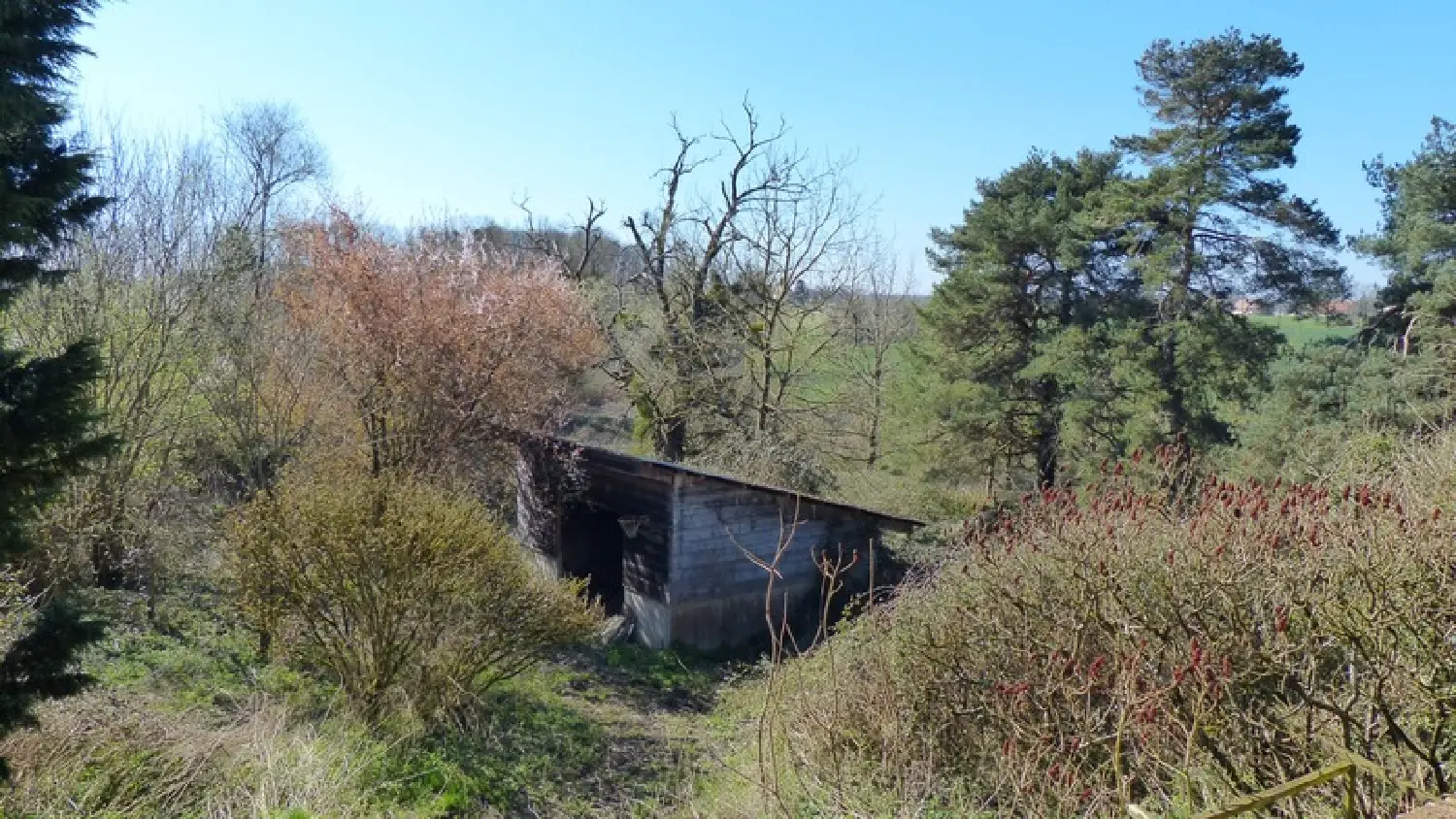  te koop huis Les Essards-Taignevaux Jura 4
