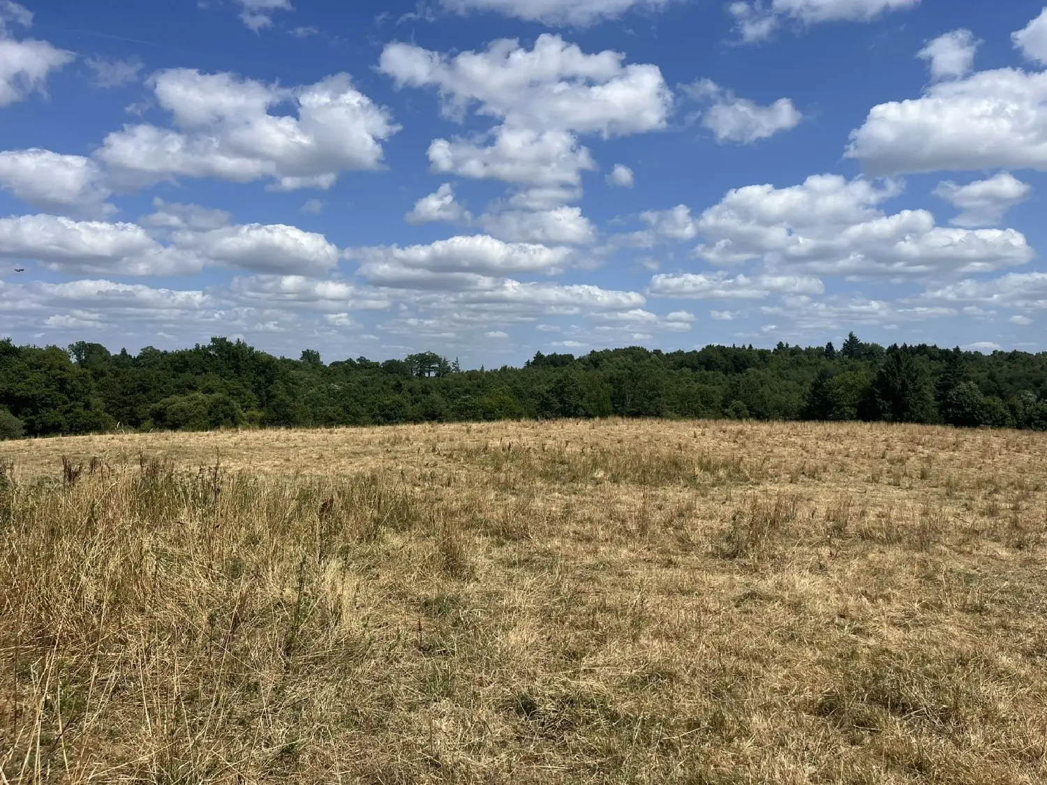  te koop huis Les Salles-Lavauguyon Haute-Vienne 5