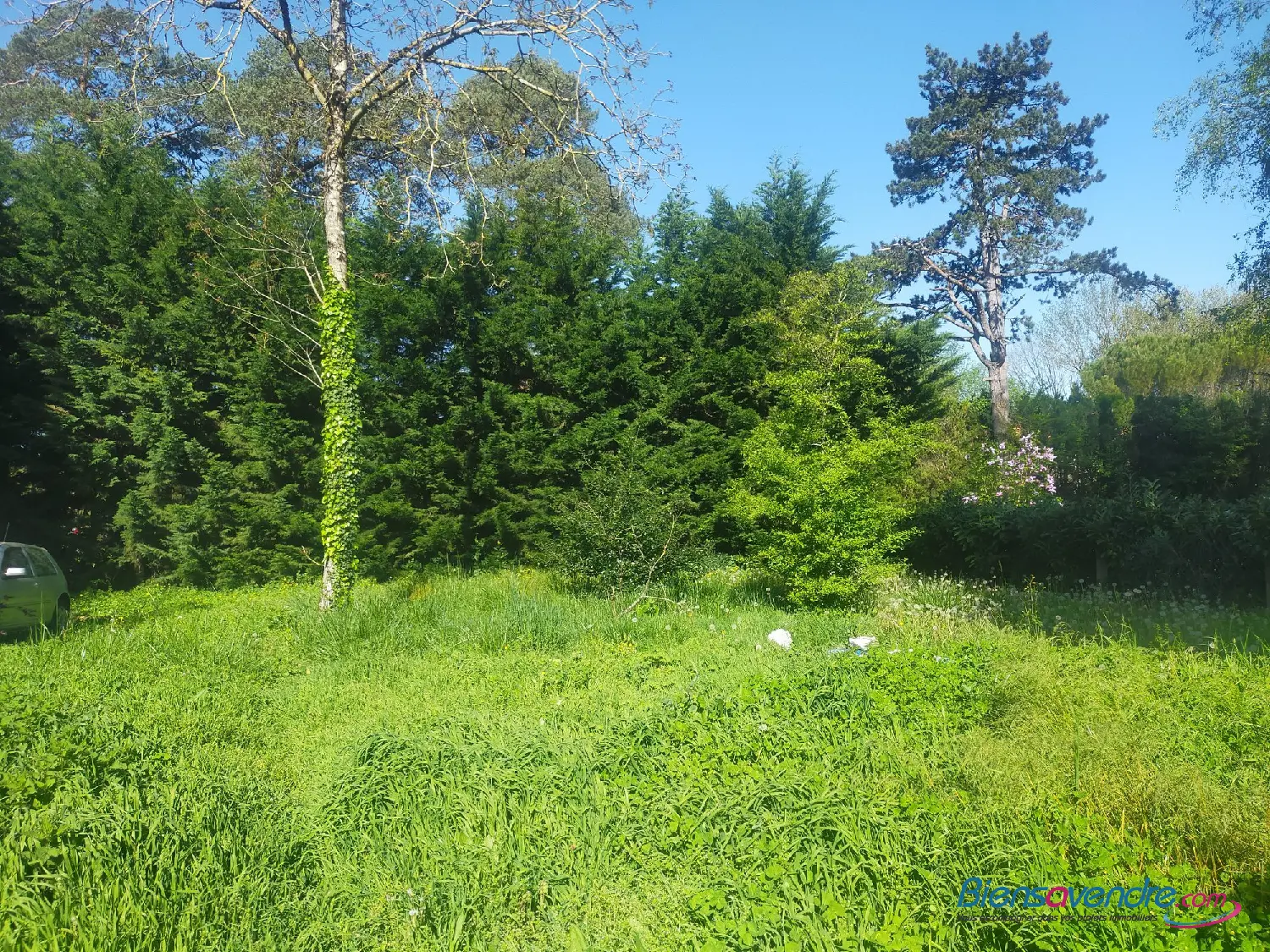  kaufen Haus Lhommaizé Vienne 2