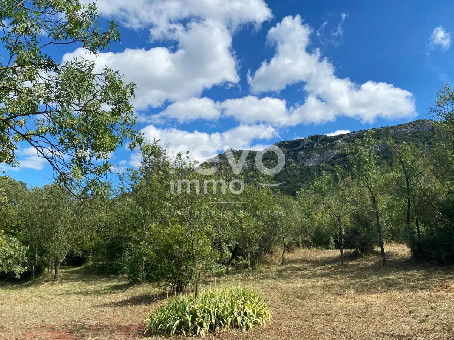  for sale house Liausson Hérault 6