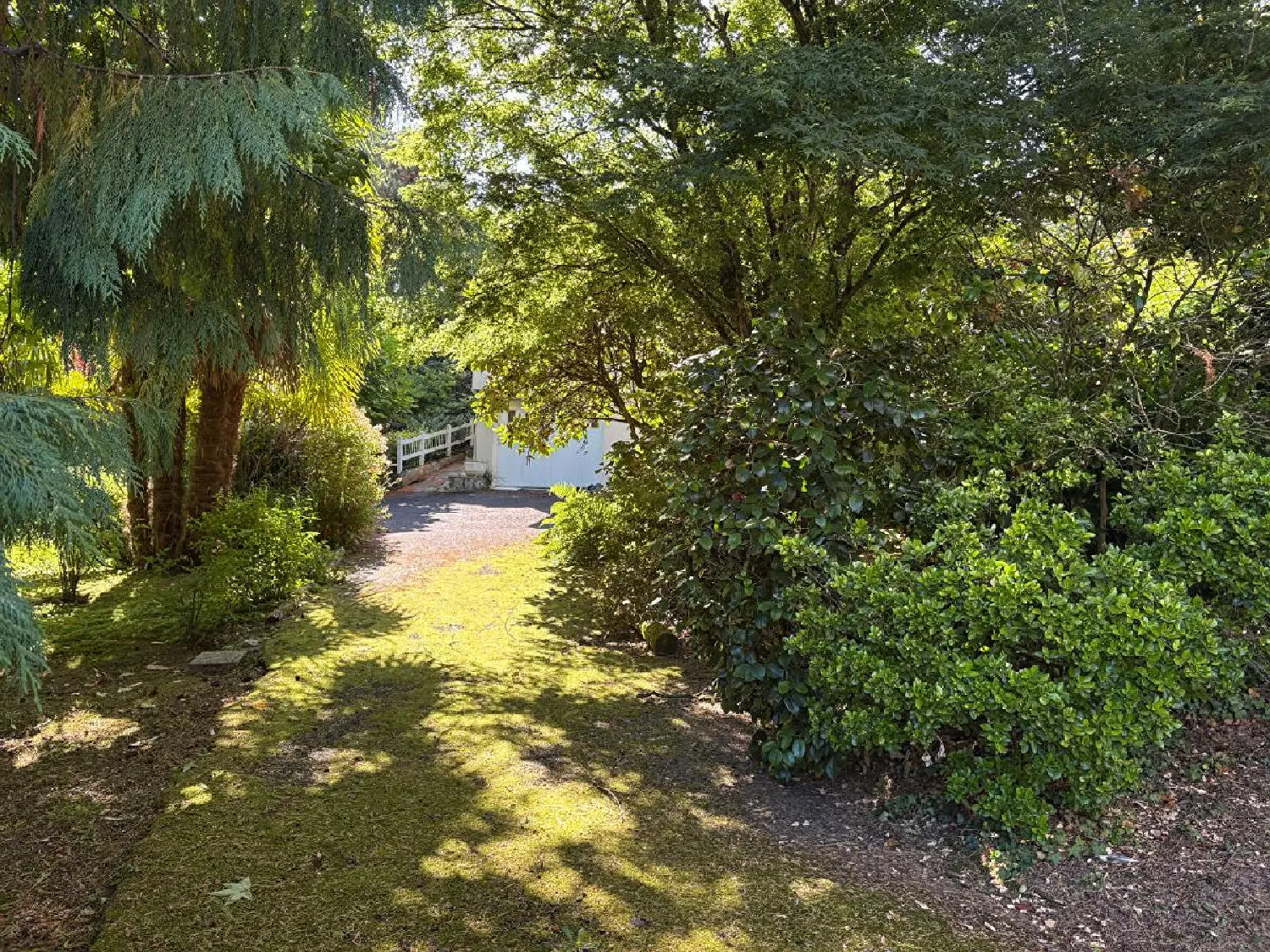  à vendre maison Limoges Haute-Vienne 3