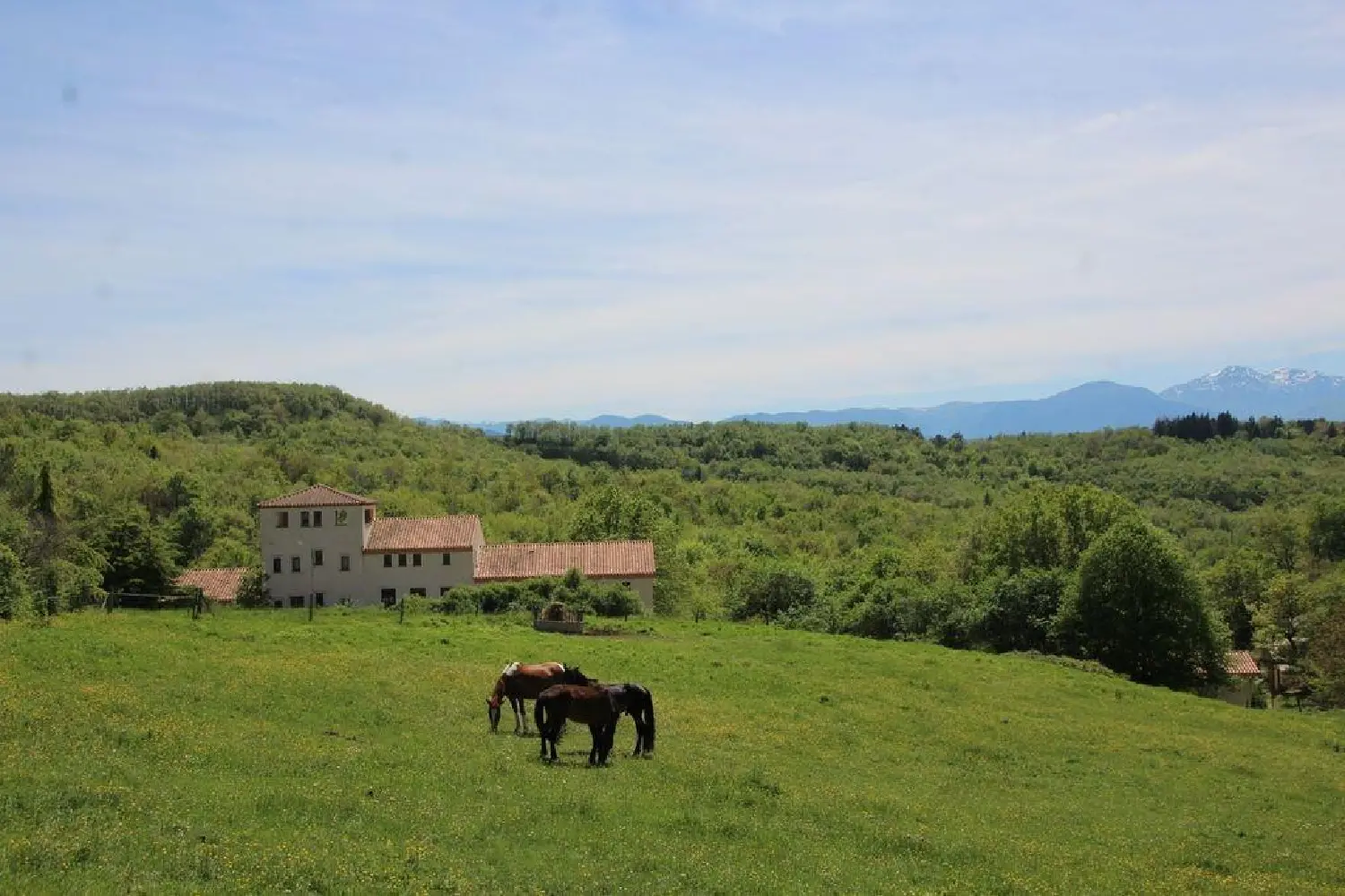  te koop huis Limoux Aude 1