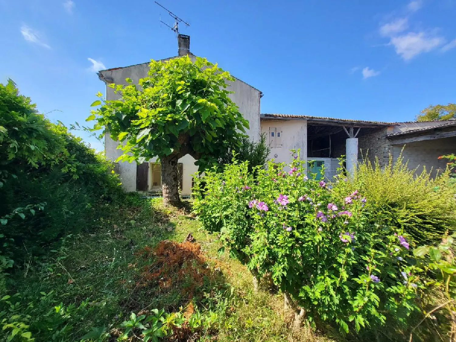  en venta casa Loulay Charente-Maritime 1