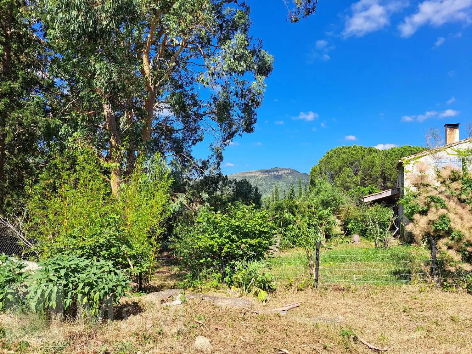  kaufen Haus Luc-sur-Aude Aude 5