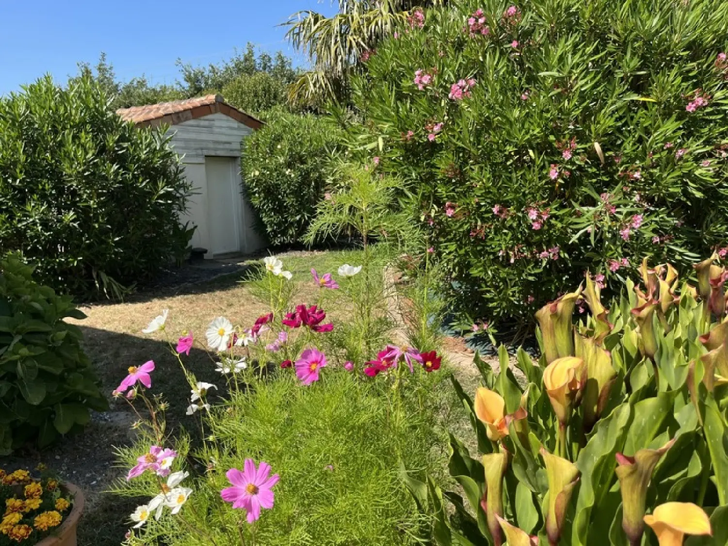  te koop huis Machecoul Loire-Atlantique 5