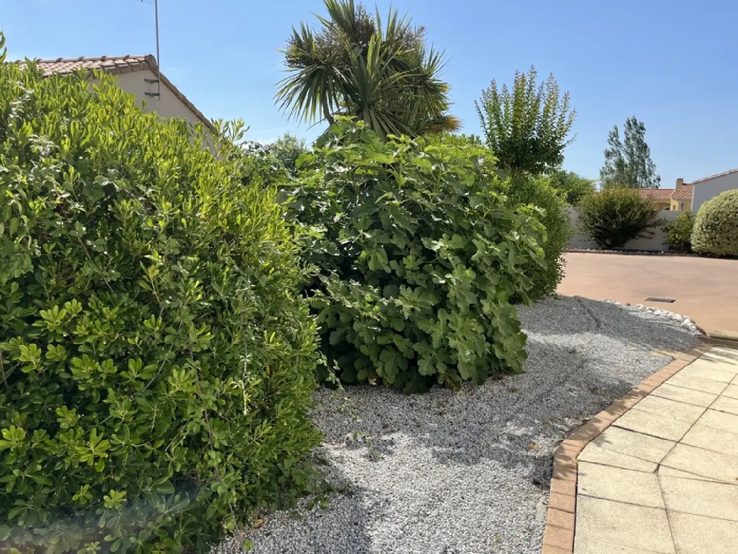  te koop huis Machecoul Loire-Atlantique 6
