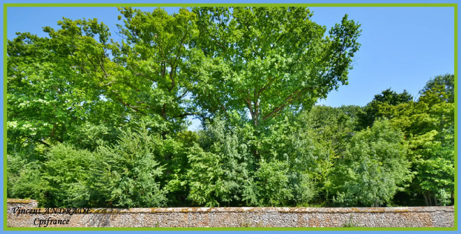  à vendre maison Marolles-en-Hurepoix Essonne 4