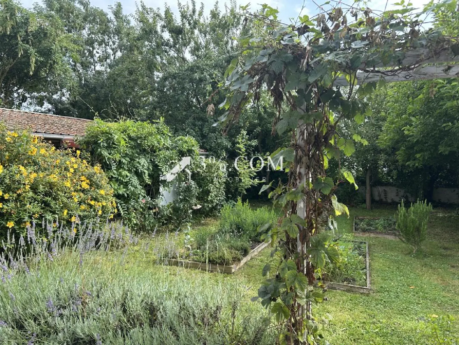  en venta casa Marquise Pas-de-Calais 3