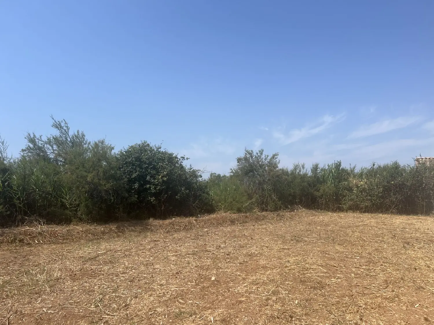  à vendre maison Marseillan Hérault 4