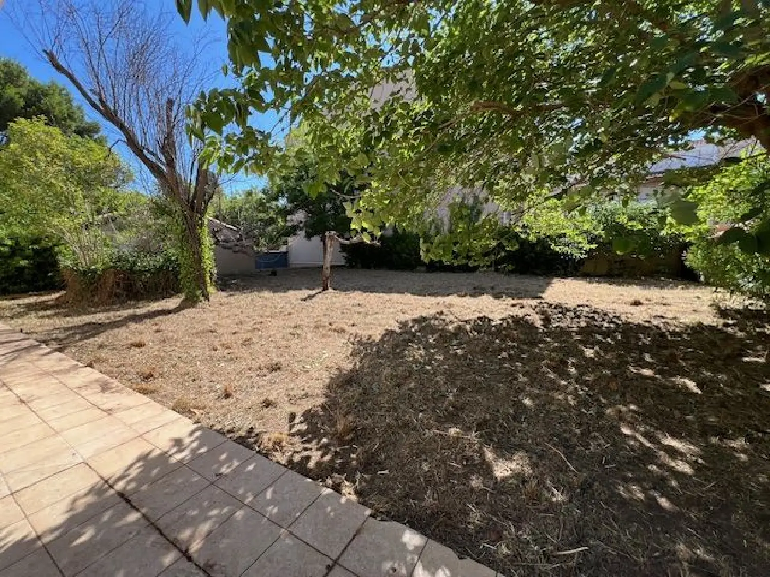  à vendre maison Marseillan Hérault 3
