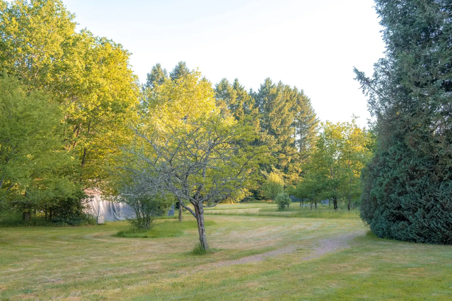  te koop huis Marval Haute-Vienne 8