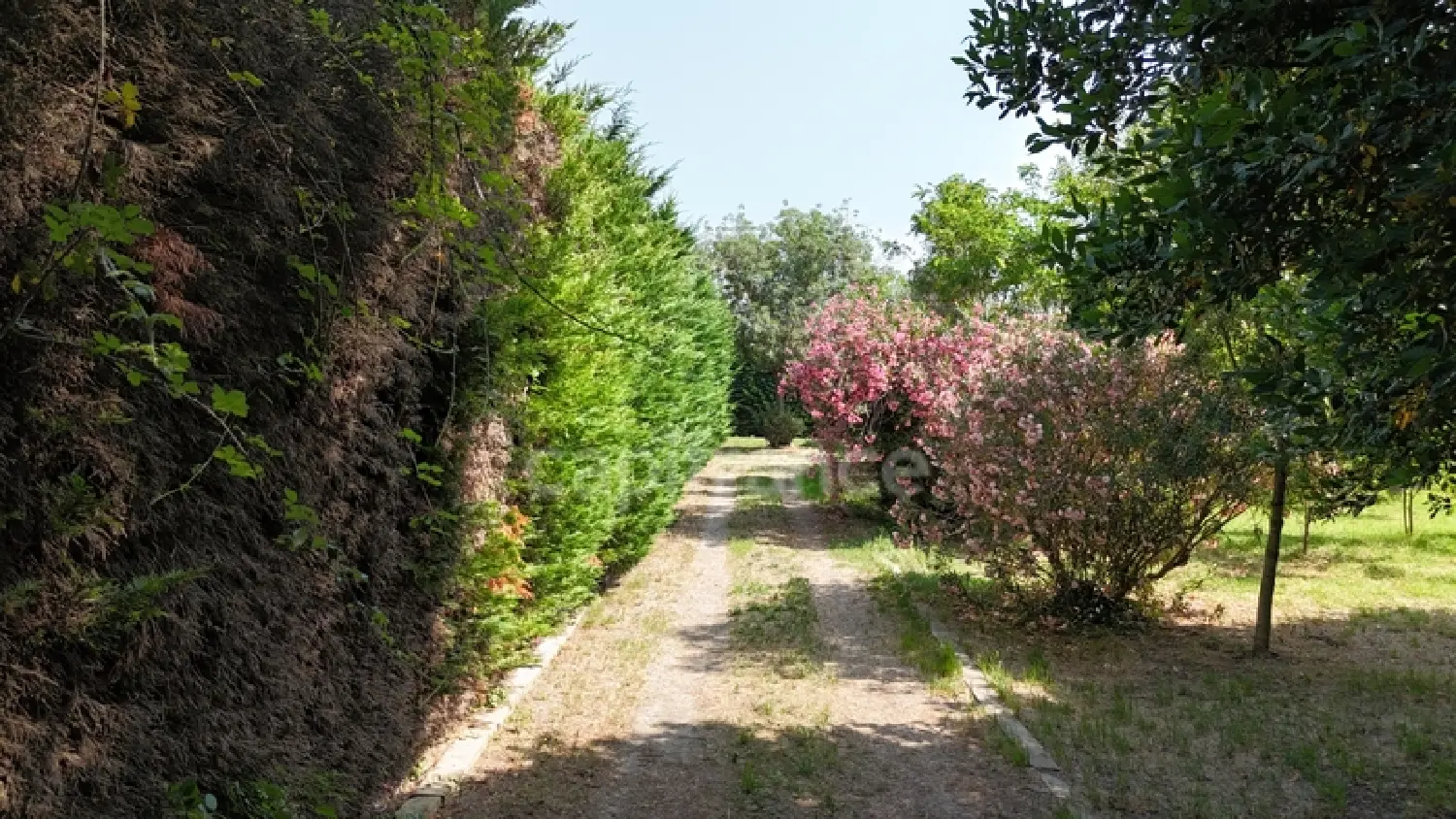  kaufen Haus Mas-Thibert Bouches-du-Rhône 3