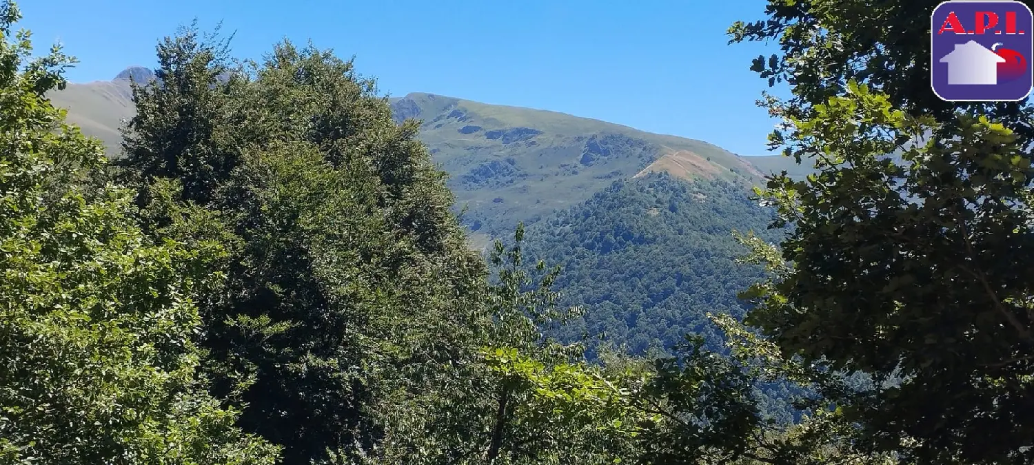  te koop huis Massat Ariège 6