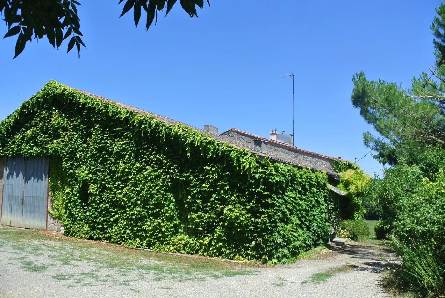  for sale house Mauvezin-sur-Gupie Lot-et-Garonne 2